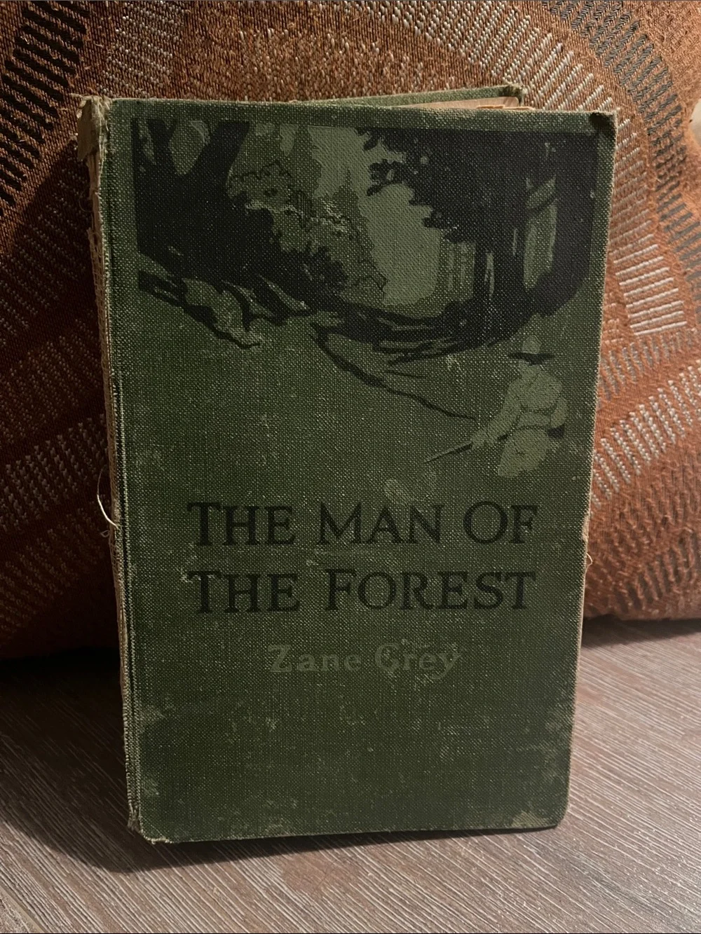 The Man of the Forest by Zane Grey 1817